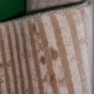 Акриловий килим Florence 0475 cream-ivory - Висока якість за найкращою ціною в Україні зображення 2.