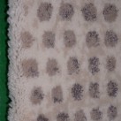 Акриловий килим Paris 0241 cream-beige - Висока якість за найкращою ціною в Україні зображення 3.