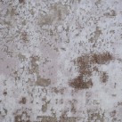 Ковер высокой плотности SHIMAL 0938A Bej - высокое качество по лучшей цене в Украине изображение 4.