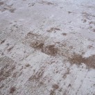 Ковер высокой плотности SHIMAL 0938A Bej - высокое качество по лучшей цене в Украине изображение 5.