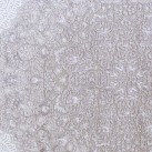 Ковер высокой плотности SHIMAL 0971A Bej - высокое качество по лучшей цене в Украине изображение 6.