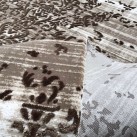 Акриловий килим Vals W2769 C.D.Beige-Brown - Висока якість за найкращою ціною в Україні зображення 3.