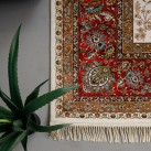 Високощільний килим Abbass 2134 cream - Висока якість за найкращою ціною в Україні зображення 6.