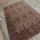 Високощільний килим Crystal 9553A Tulip Wood-Cream - Висока якість за найкращою ціною в Україні зображення 5.