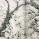 Високоворсний килим Asti 23011/301 - Висока якість за найкращою ціною в Україні зображення 3.