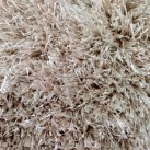 Високоворсний килим Astoria AIBAST (alabaster) - Висока якість за найкращою ціною в Україні зображення 2.
