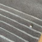 Високоворсний килим Lalee Diamond 147 grey - Висока якість за найкращою ціною в Україні зображення 2.