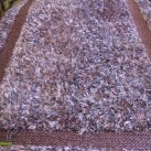 Високоворсний килим Lalee Sepia 100 violet - Висока якість за найкращою ціною в Україні зображення 2.