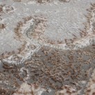 Синтетический ковёр SALSA D557A BEIGE/D.GREY - высокое качество по лучшей цене в Украине изображение 6.
