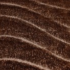 Високоворсний килим Therapy 2228B p.brown-p.brown - Висока якість за найкращою ціною в Україні зображення 2.