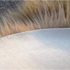 Шкіра Skin Sheep SP-02 beige - Висока якість за найкращою ціною в Україні зображення 2.