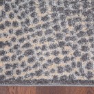 Синтетичний килим Avanti Ceres Szary - Висока якість за найкращою ціною в Україні зображення 3.