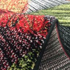 Синтетичний килим Rainbow 14 Colors 7516a Black - Висока якість за найкращою ціною в Україні зображення 3.