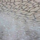 Килим  Vintage silky AG99A p.cream-p.l.grey - Висока якість за найкращою ціною в Україні зображення 3.