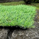 Искусственная трава Landgrass 20 - высокое качество по лучшей цене в Украине изображение 4.