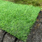 Искусственная трава Landgrass 20 - высокое качество по лучшей цене в Украине изображение 2.