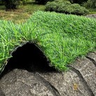 Искусственная трава Landgrass 30 - высокое качество по лучшей цене в Украине изображение 3.