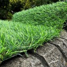 Искусственная трава Landgrass 30 - высокое качество по лучшей цене в Украине изображение 4.
