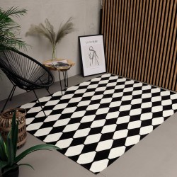 Синтетичний килим ALMINA 126702 black/white  - Висока якість за найкращою ціною в Україні