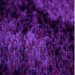 Високоворсний килим Lalee Monaco 444 violet  - Висока якість за найкращою ціною в Україні