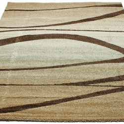 Високоворсний килим Wellness 4554 camel  - Висока якість за найкращою ціною в Україні
