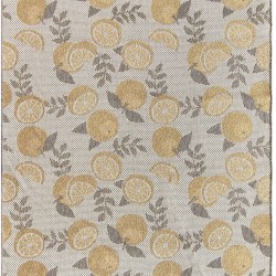 Безворсовий килим Colorado 022/111Y  - Висока якість за найкращою ціною в Україні