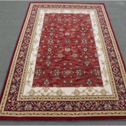 Шерстяний килим Elegance 2736-50666  - Висока якість за найкращою ціною в Україні