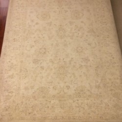 Шерстяний килим Zigler 22 , CREAM  - Висока якість за найкращою ціною в Україні