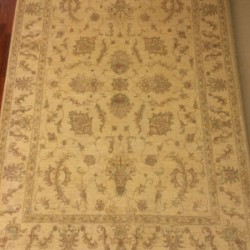 Шерстяний килим Zigler 31 , CREAM  - Висока якість за найкращою ціною в Україні