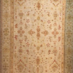 Шерстяний килим Zigler 41 , CREAM  - Висока якість за найкращою ціною в Україні