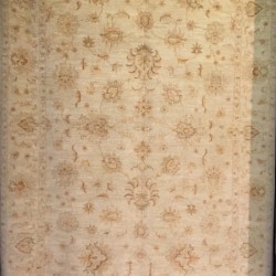 Шерстяний килим Zigler 42 , CREAM  - Висока якість за найкращою ціною в Україні