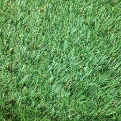 Искусственная трава Congrass Jakarta 20  - высокое качество по лучшей цене в Украине