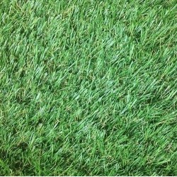 Штучна трава Congrass Jakarta 30  - Висока якість за найкращою ціною в Україні
