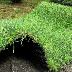 Искусственная трава Landgrass 20  - высокое качество по лучшей цене в Украине
