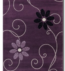 Акриловий килим Florya 0029 lila