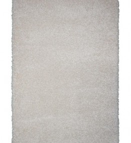 Високоворсный килим Shaggy 1039-34100