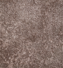 Синтетична килимова доріжка CAMINO 00000A VISONE/VISONE