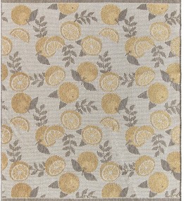 Безворсовий килим Colorado 022/111Y