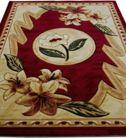 Синтетичний килим Exellent 0497A burgundy