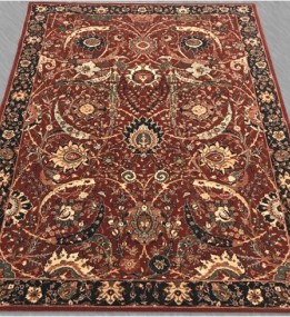 Шерстяний килим Kashqai (43-35/0-300)