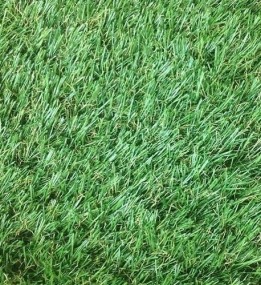 Искусственная трава Congrass Jakarta 30