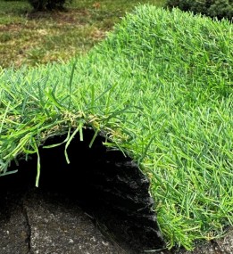 Штучна трава Landgrass 20 - высокое качество по лучшей цене в Украине.