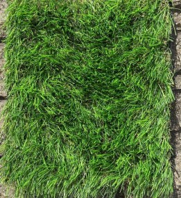 Штучна трава Landgrass 35