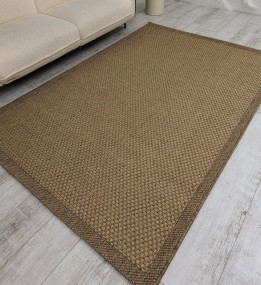 Безворсовий килим NATURA B3667D brown