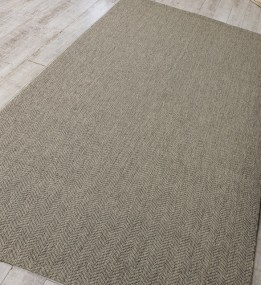 Безворсовий килим NATURA B3672E grey