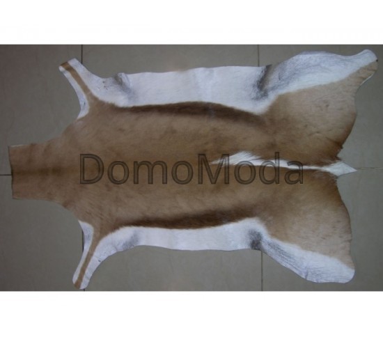 Шкіра газелі GAZELA NATURAL GZ01 ANTIDORCAS MARSUPIALIS - Висока якість за найкращою ціною в Україні