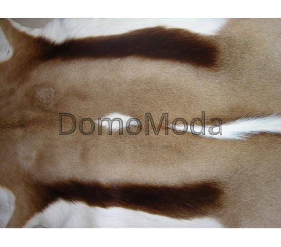 Шкіра газелі GAZELA NATURAL GZ01 ANTIDORCAS MARSUPIALIS - Висока якість за найкращою ціною в Україні зображення 2.