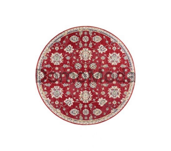 Шерстяний килим Bella 7072-51066 - Висока якість за найкращою ціною в Україні