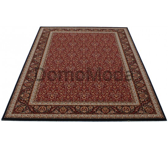 Шерстяний килим Nain 1286-710 red-ebony - Висока якість за найкращою ціною в Україні