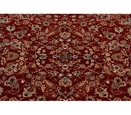 Шерстяний килим Farsistan 5602-677 red - Висока якість за найкращою ціною в Україні зображення 2.